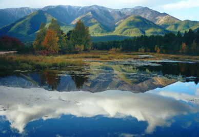 фото Алексея Шевелева